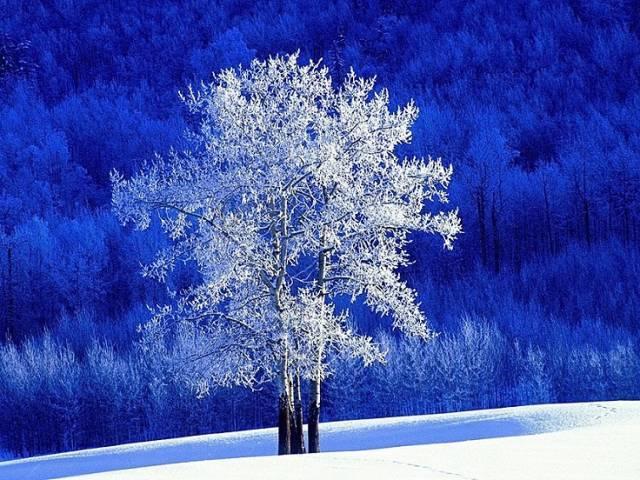 Rime