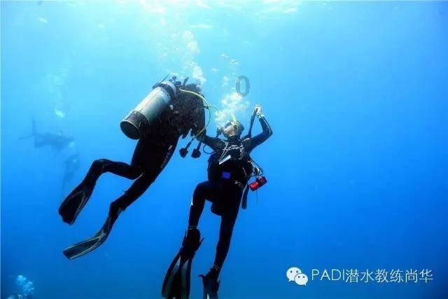 新忍出击