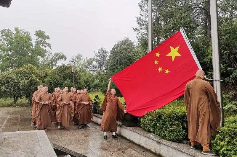 枇杷树能盆栽吗？游戏画面
